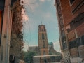 MS1_1252 MS1_1252