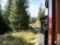 Abfahrt ins Tal