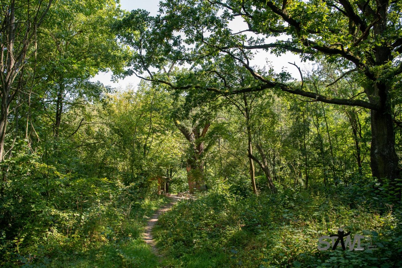 Ausflug in Karlstein