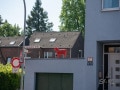 Schaf Schaf