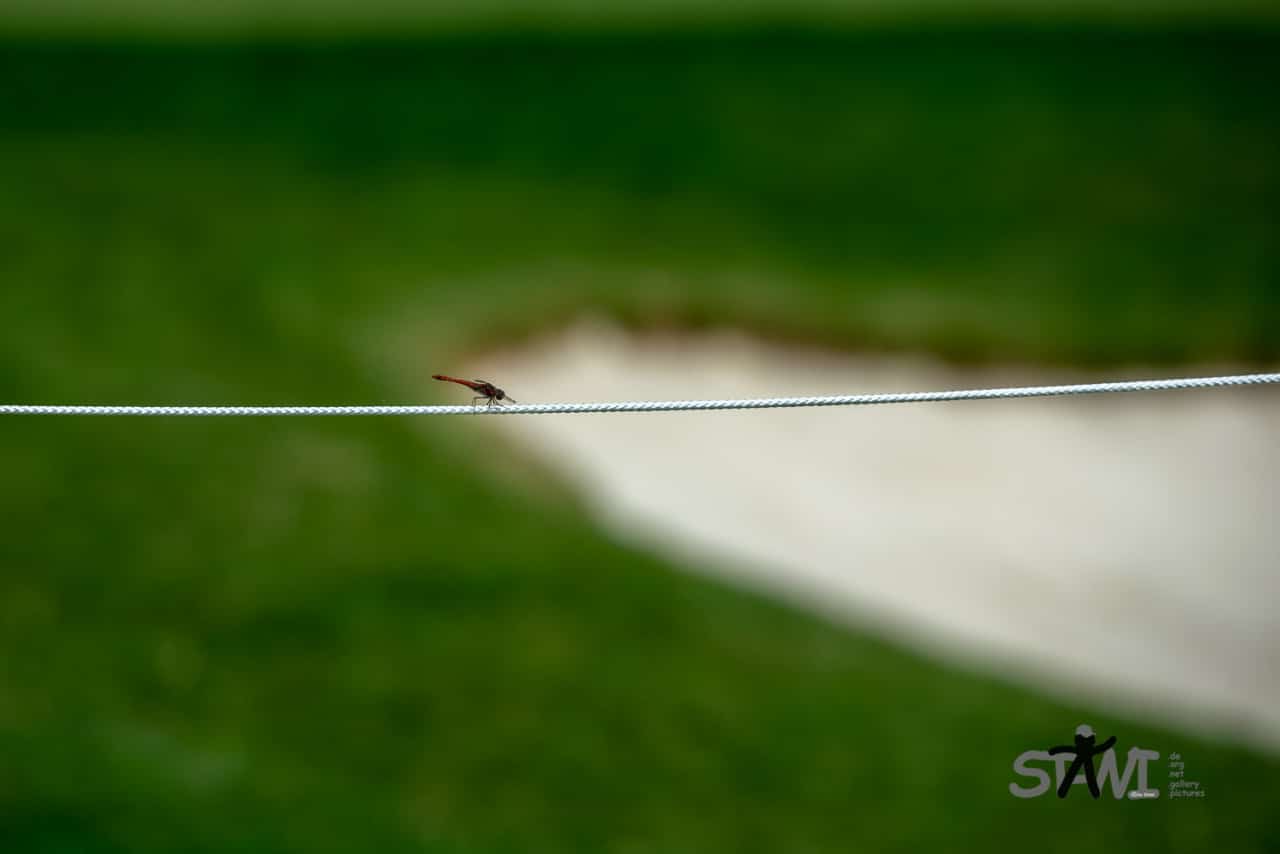 European Tour: D+D Real Czech Masters 2022Albatross Golf Resort – Prag, Tschechische Republik