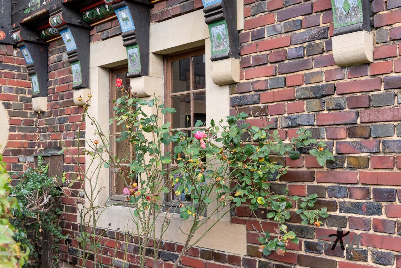Blumen vor dem Fenster