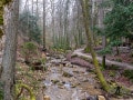 Abschied