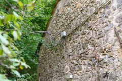 DSC_2376 DSC_2376