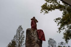 DSC_2427 DSC_2427