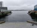 DSC_0008