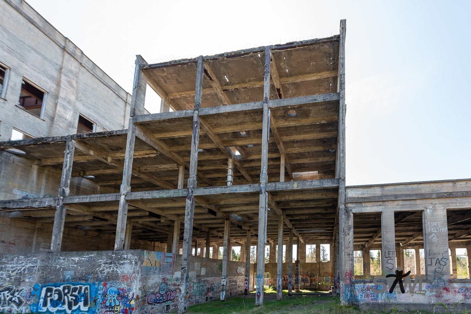 DSC_0954