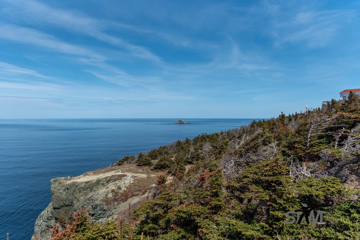 DSC_0967