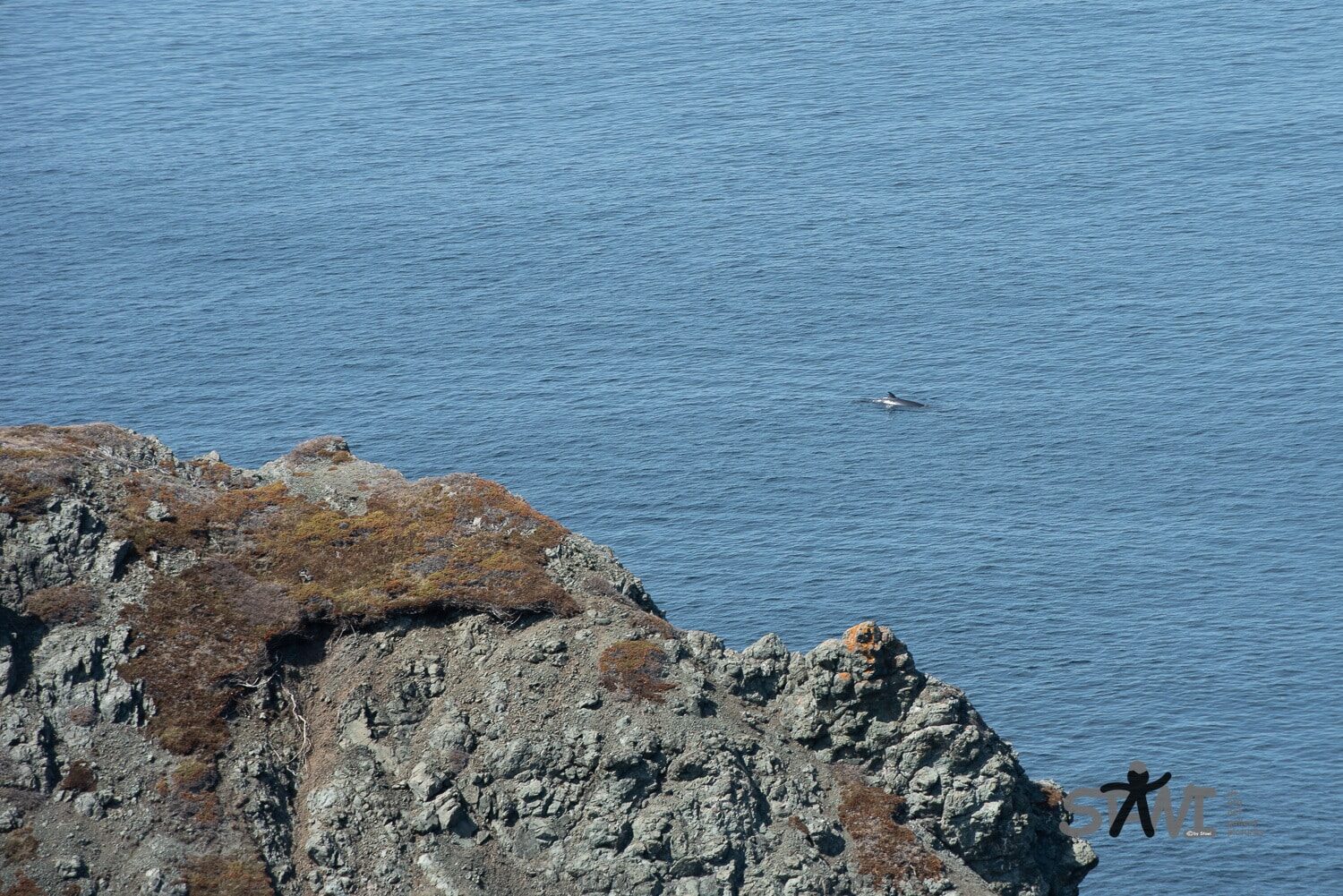 DSC_0980