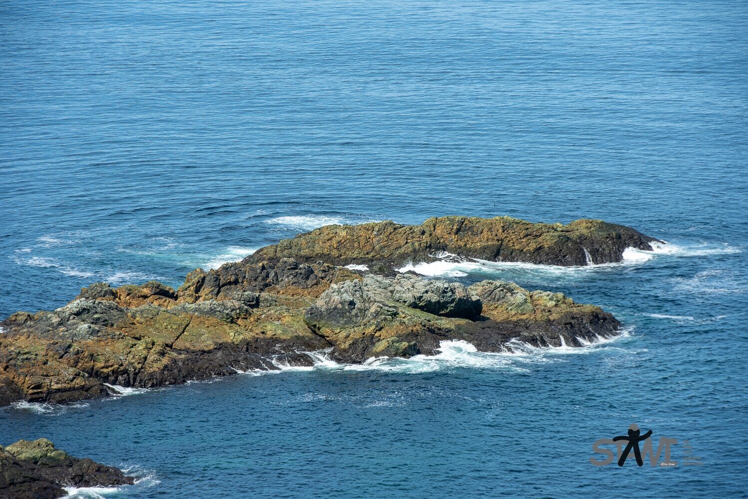 DSC_0987