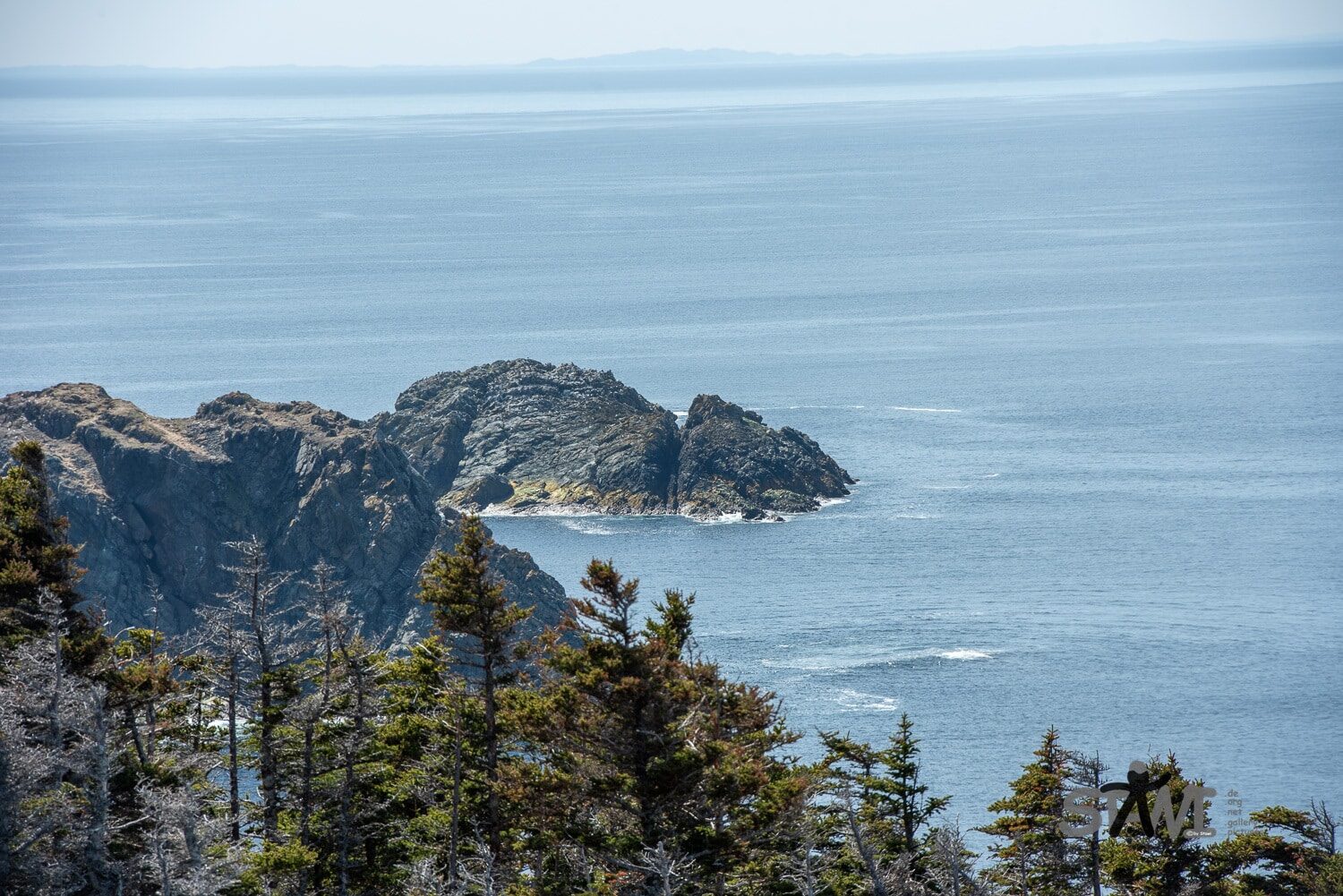 DSC_0989