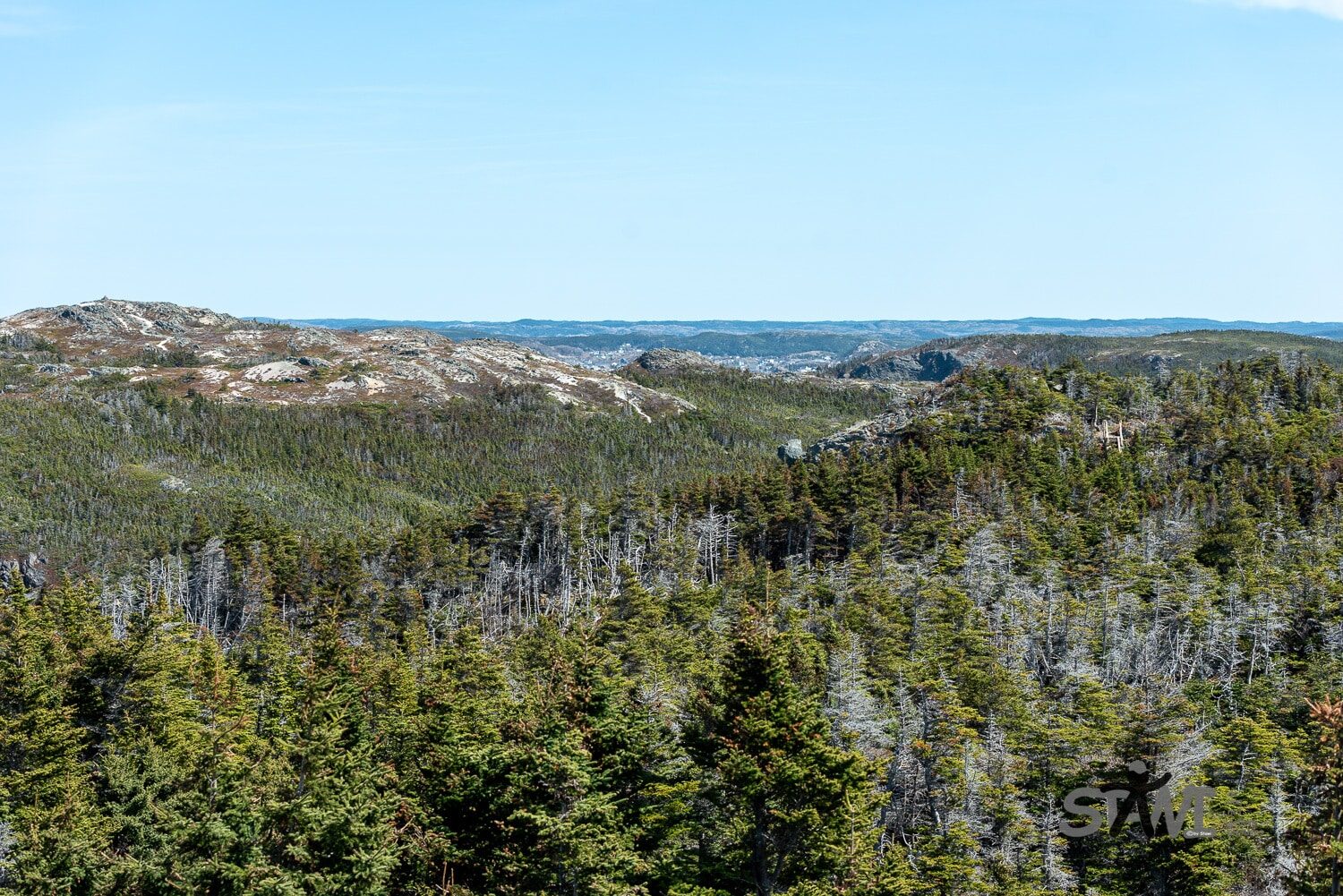 DSC_0998