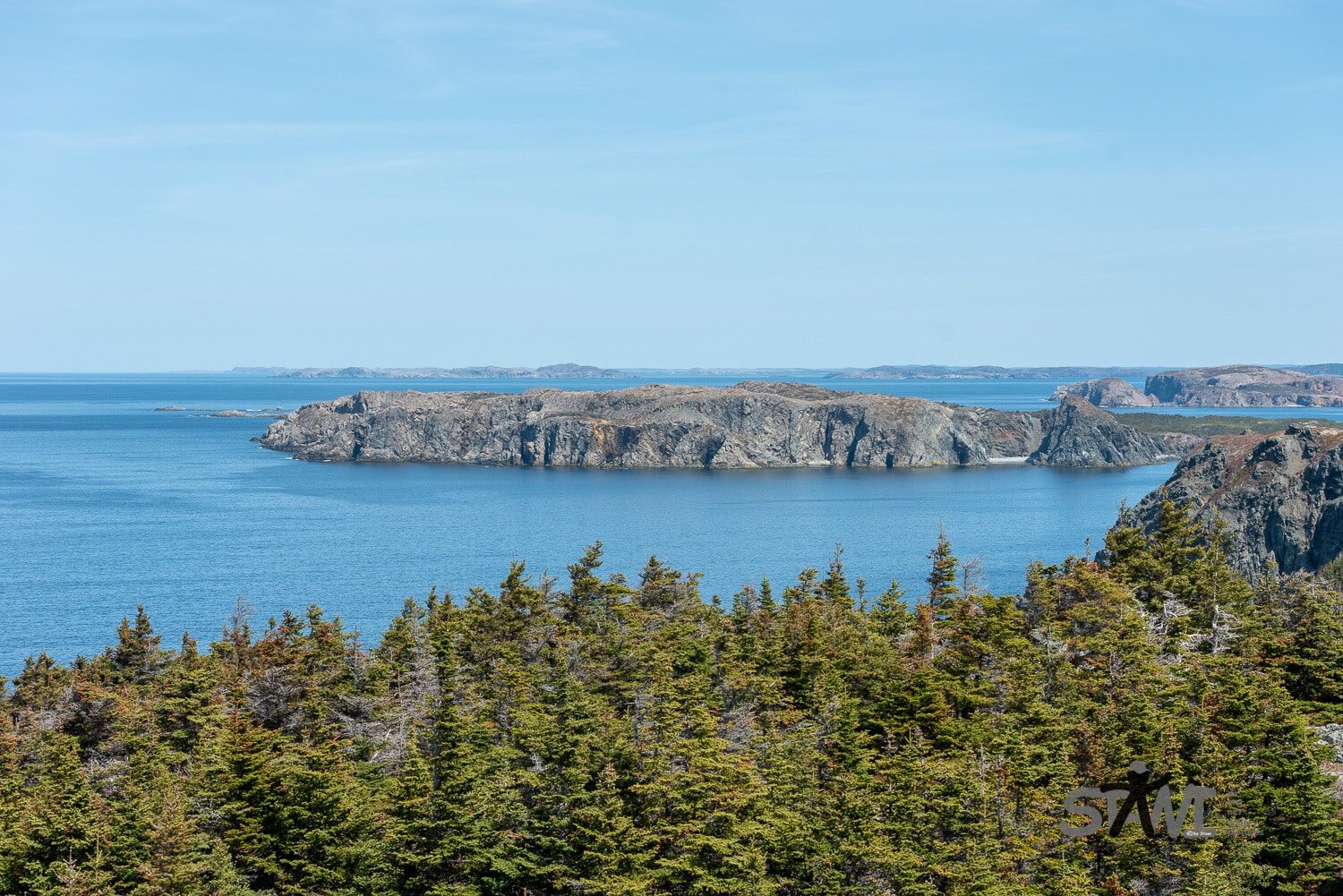 DSC_1000