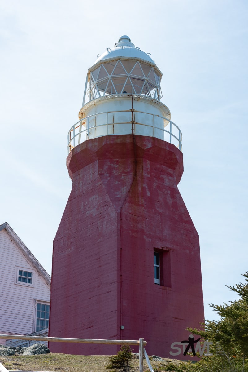 DSC_1003