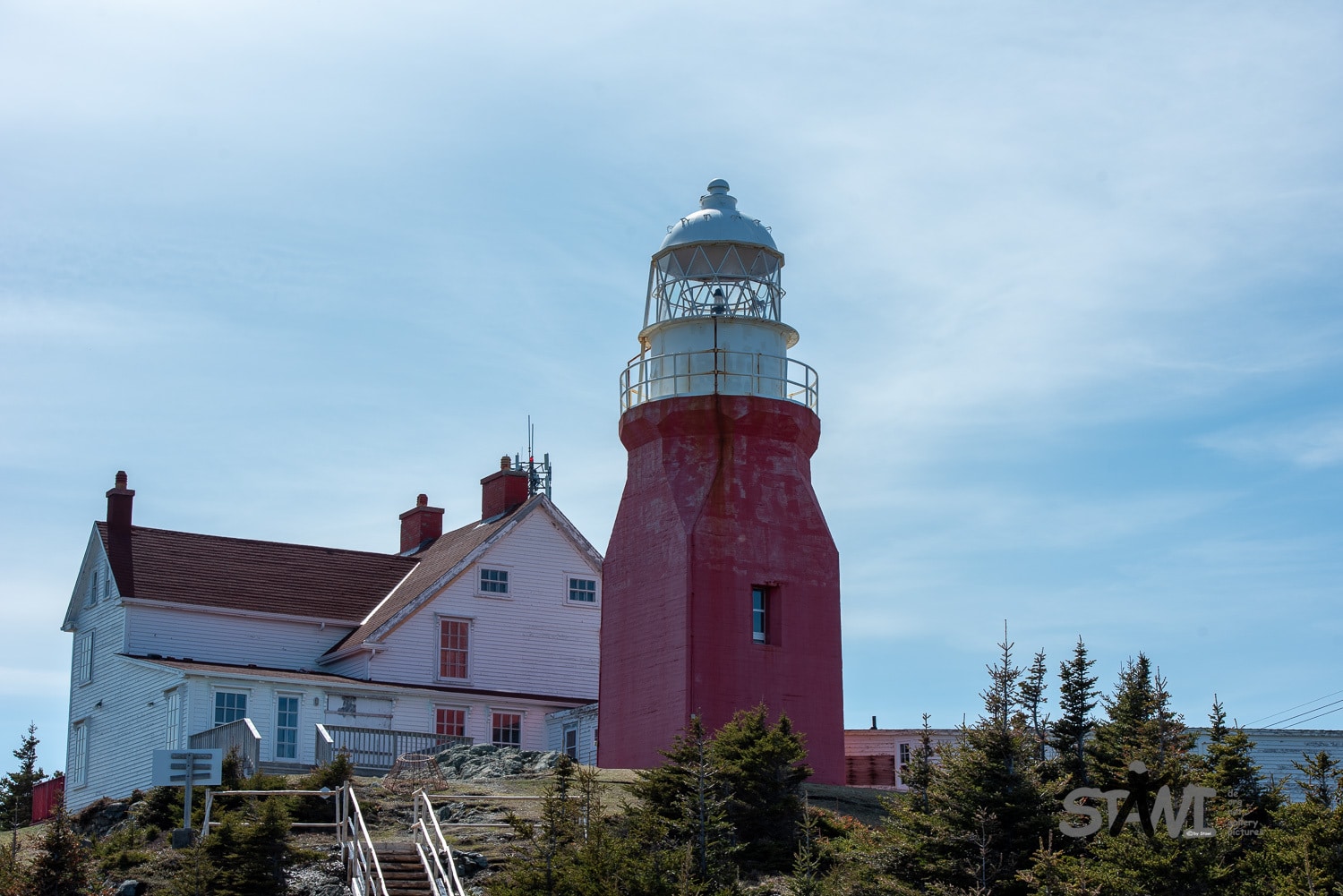 DSC_1017