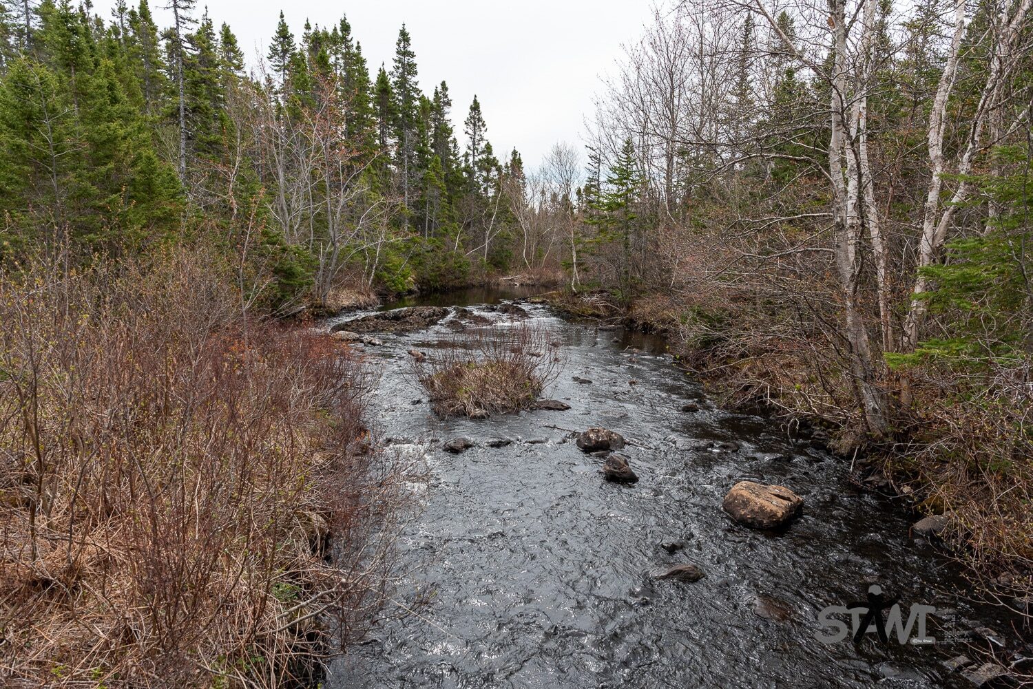 DSC_1099