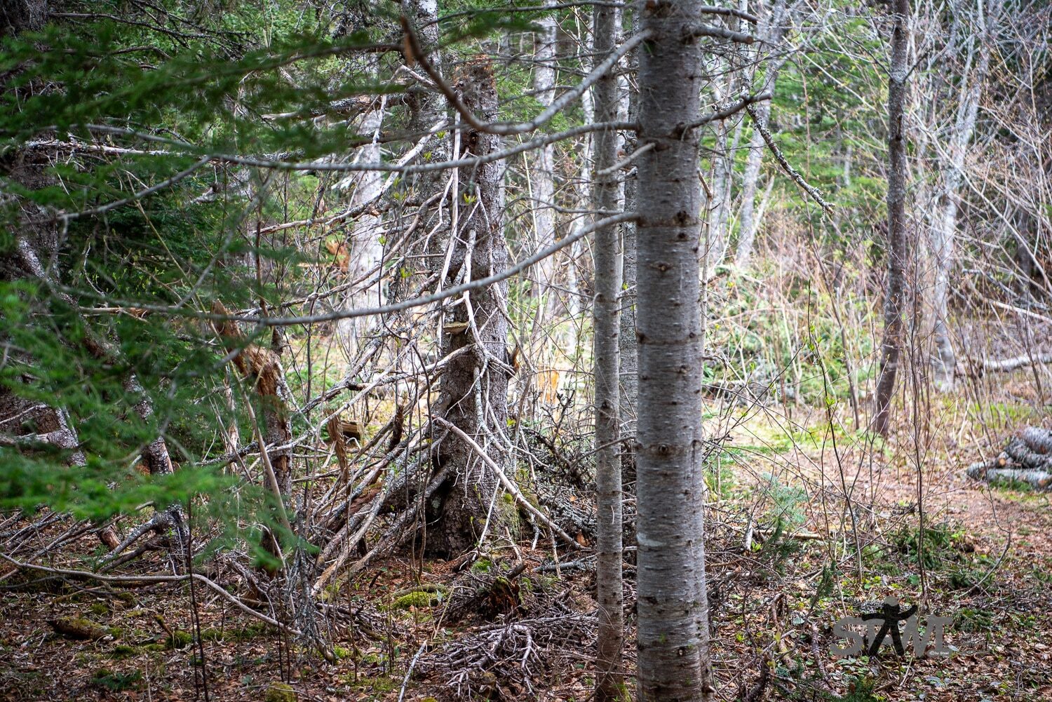 DSC_1110