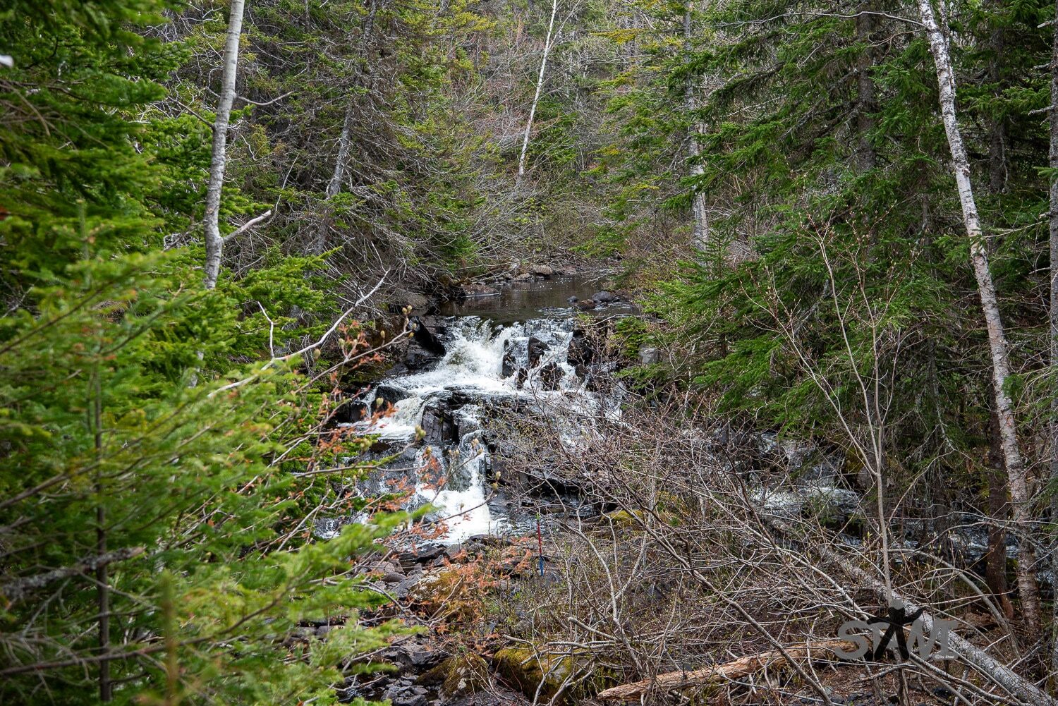 DSC_1116