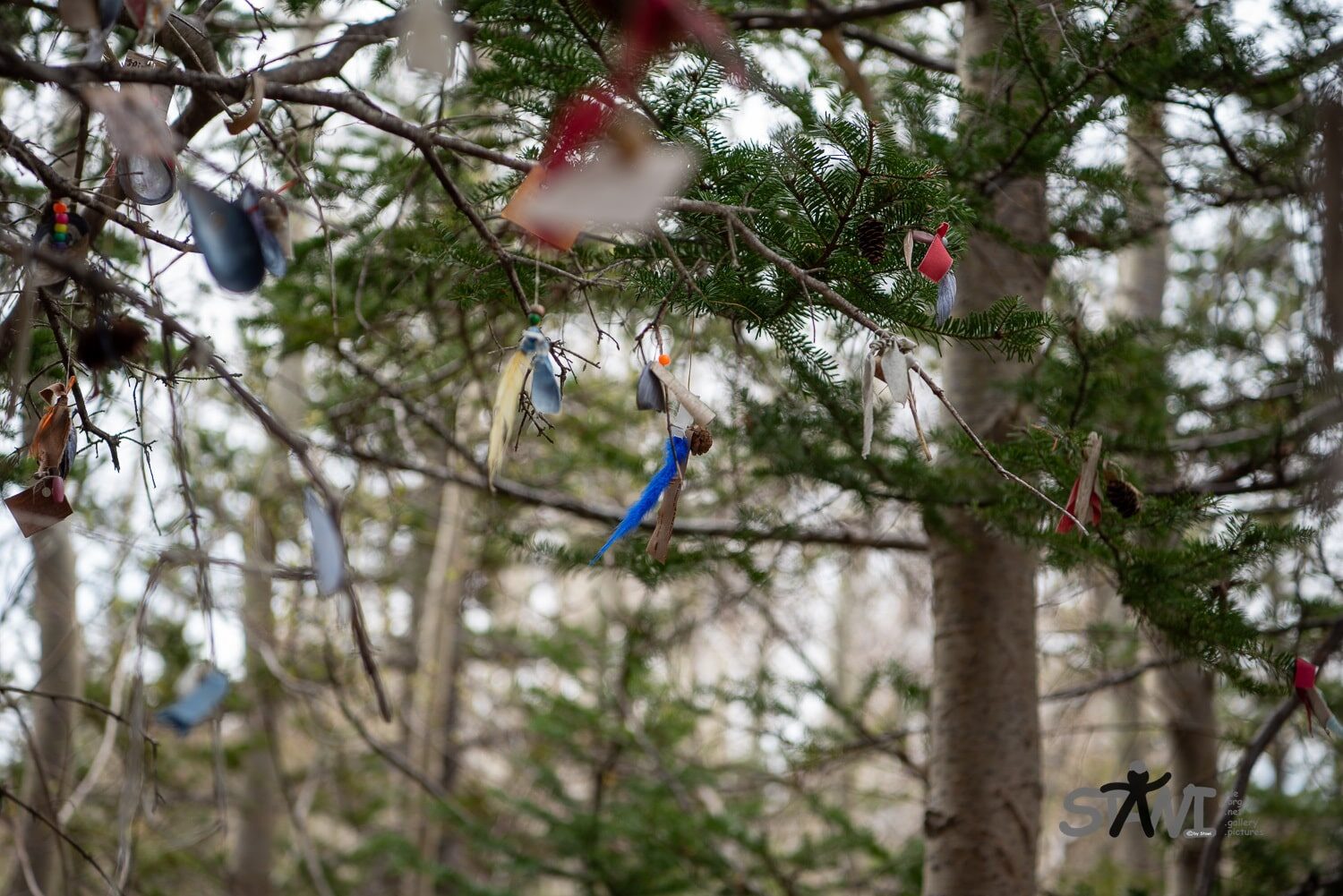 DSC_1127