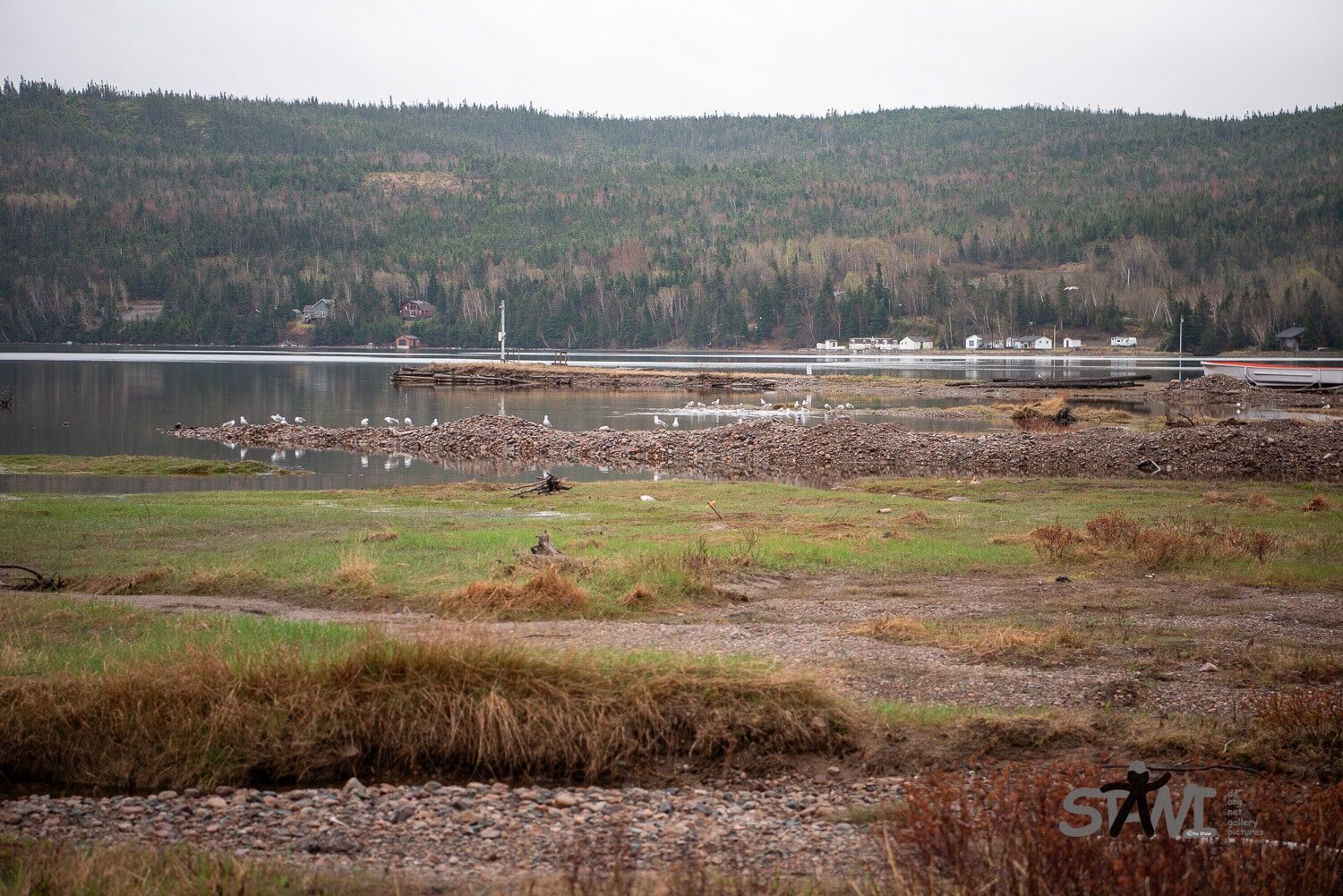 DSC_1132