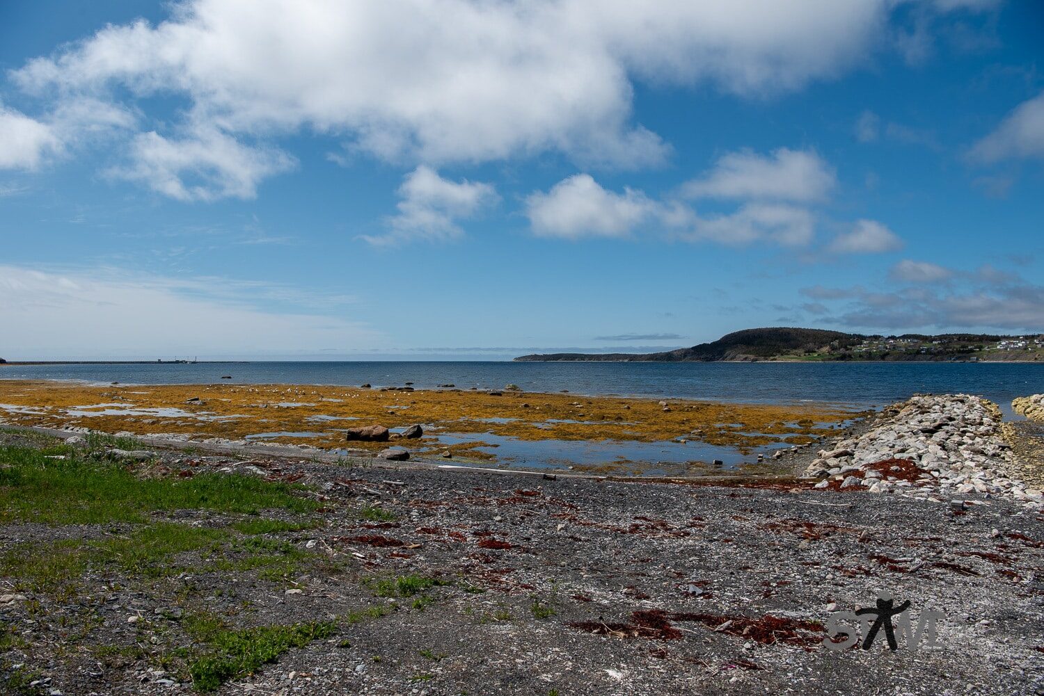 DSC_1158