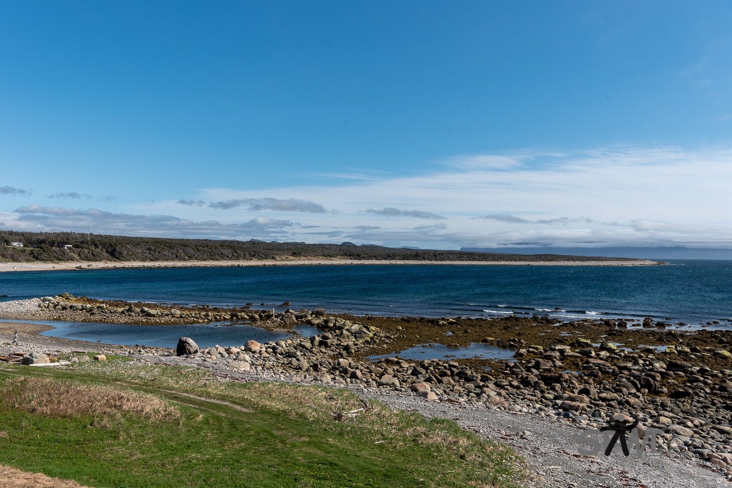 DSC_1177