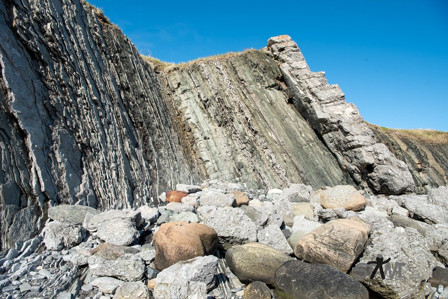 DSC_1187