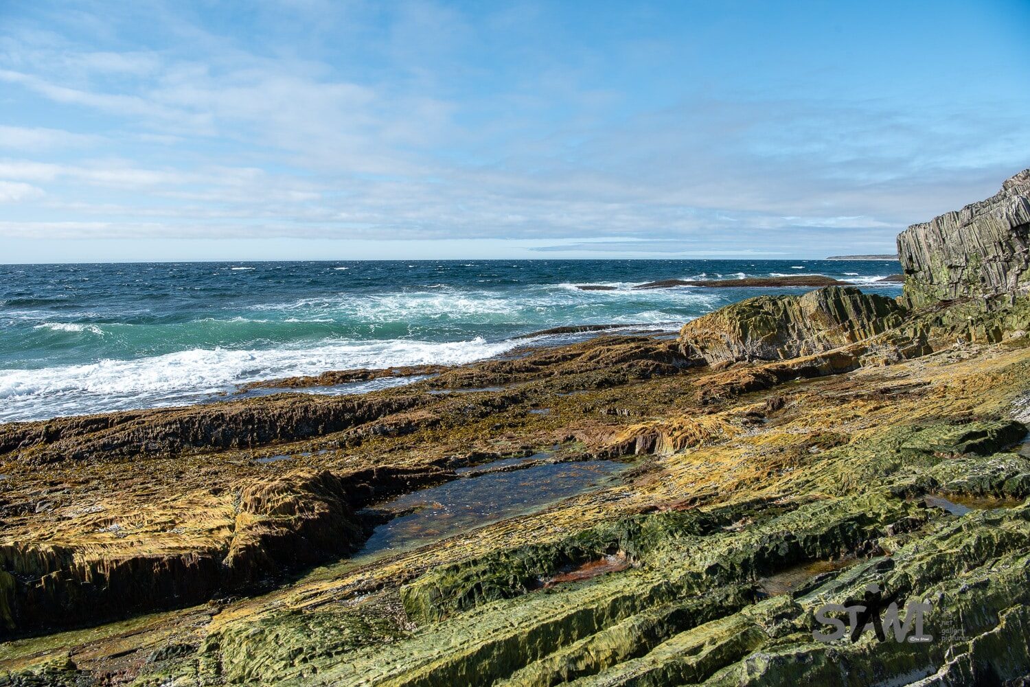 DSC_1191