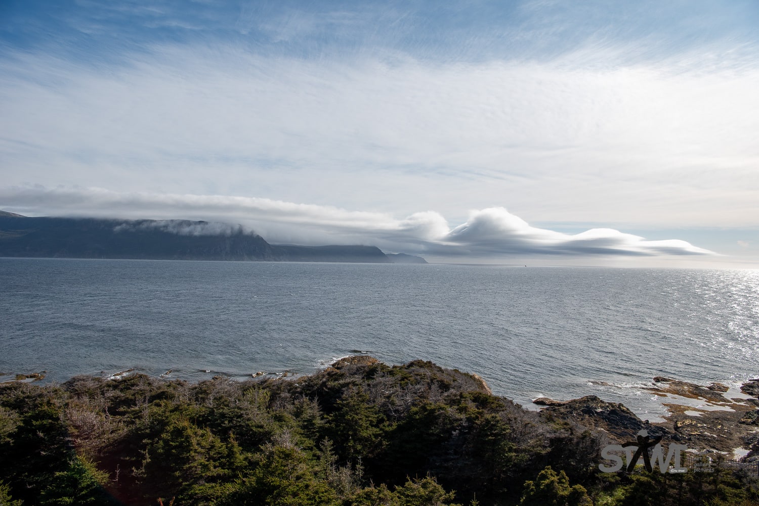 DSC_1244