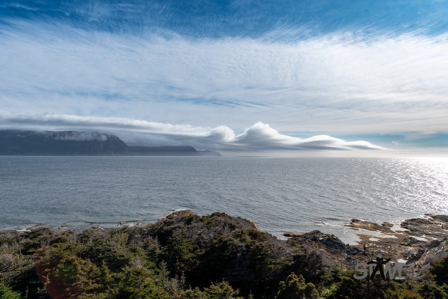 DSC_1250