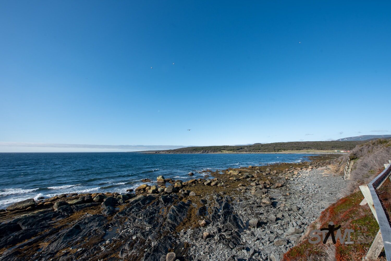 DSC_1277