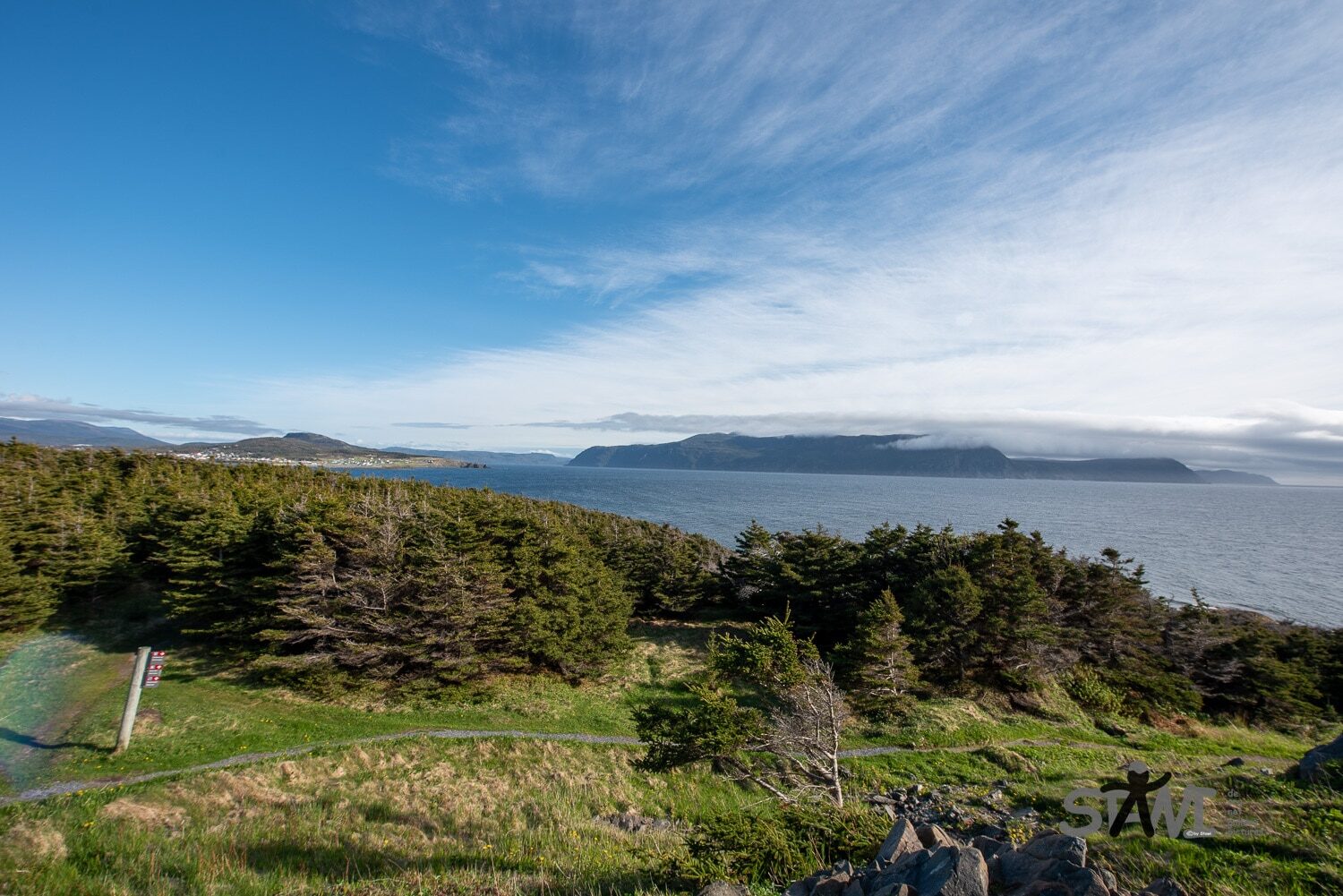DSC_1291
