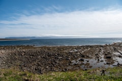 DSC_1224