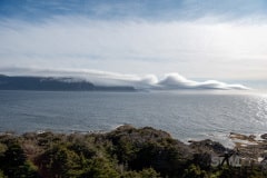 DSC_1244
