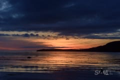 DSC_1356