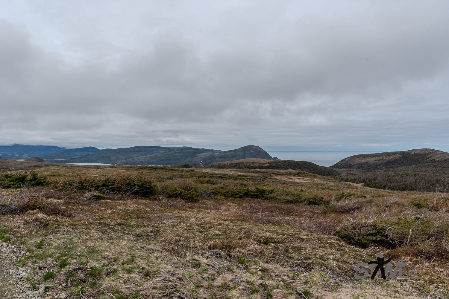 DSC_1524