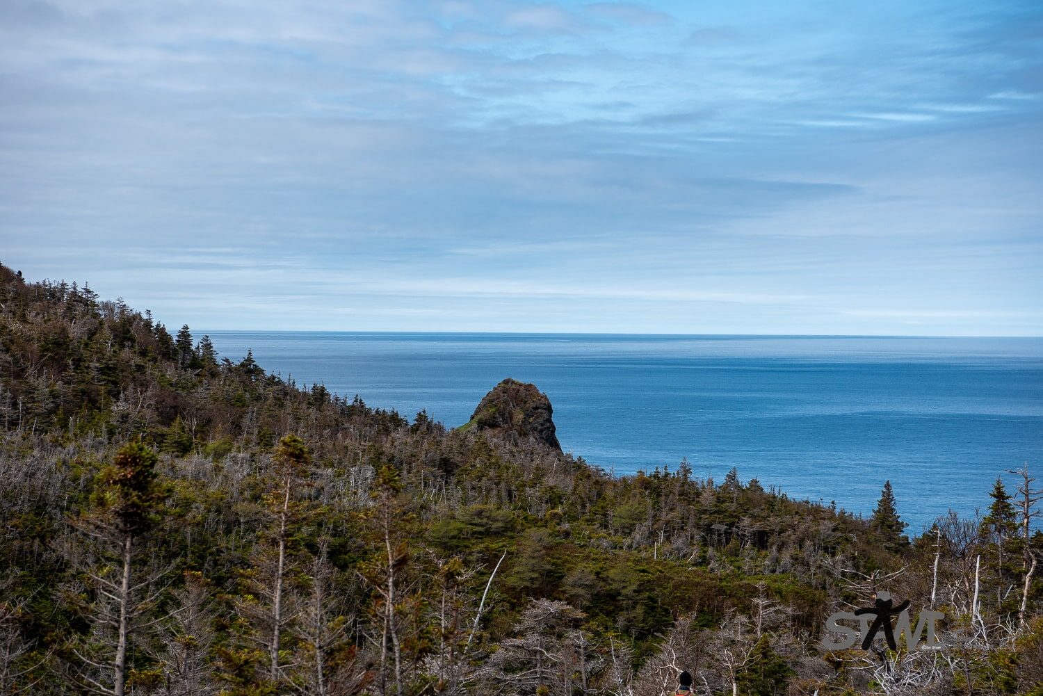 DSC_1545
