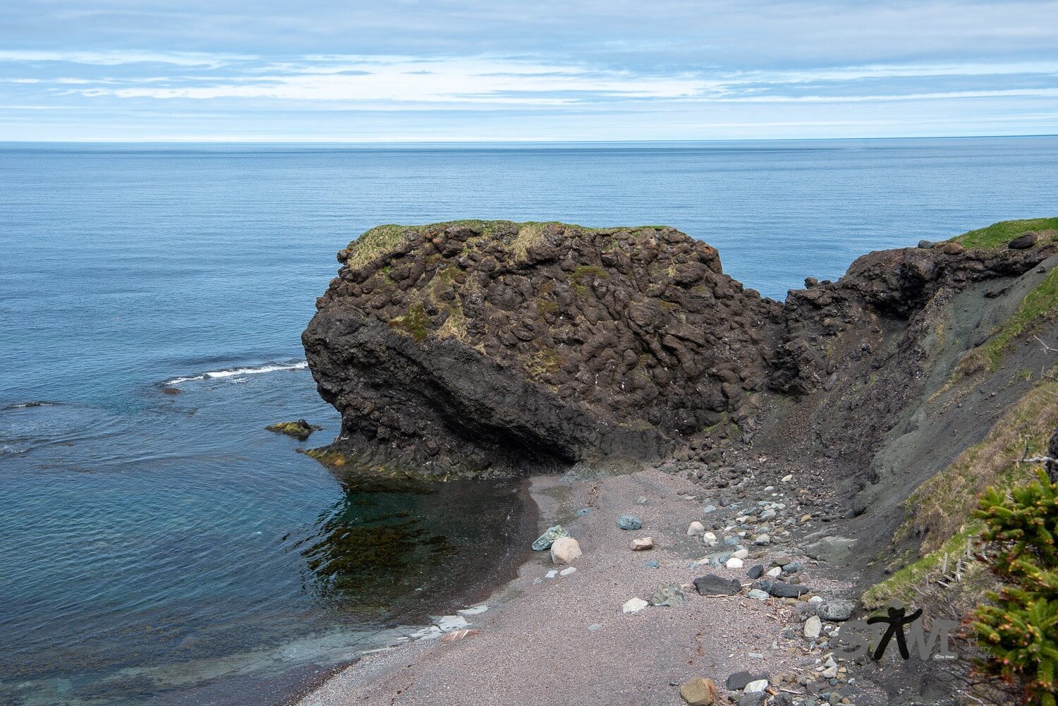 DSC_1573
