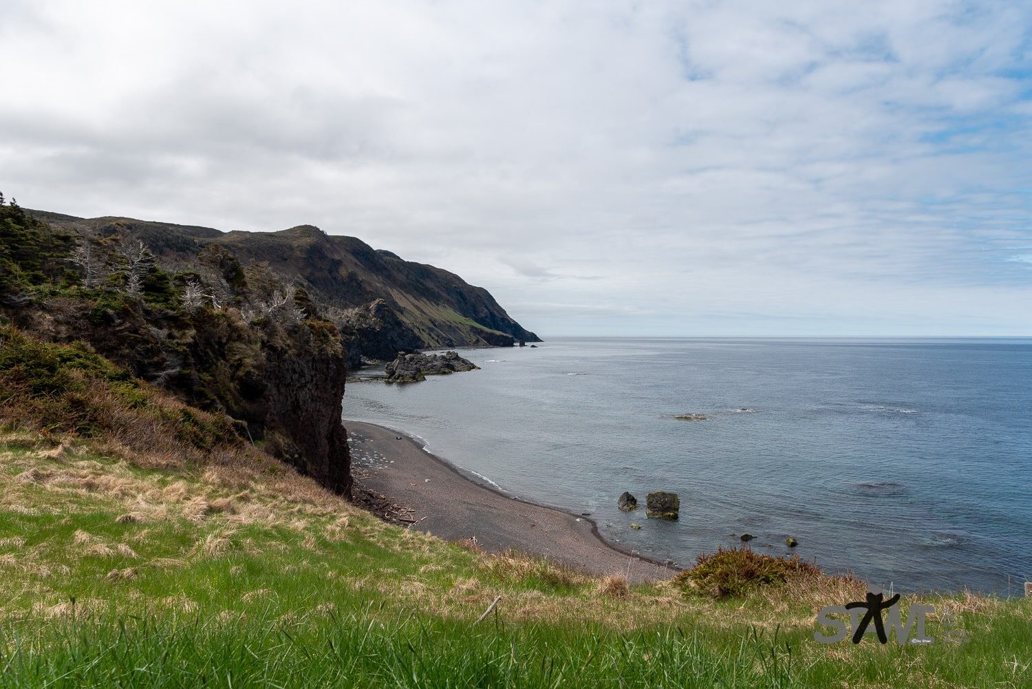 DSC_1584