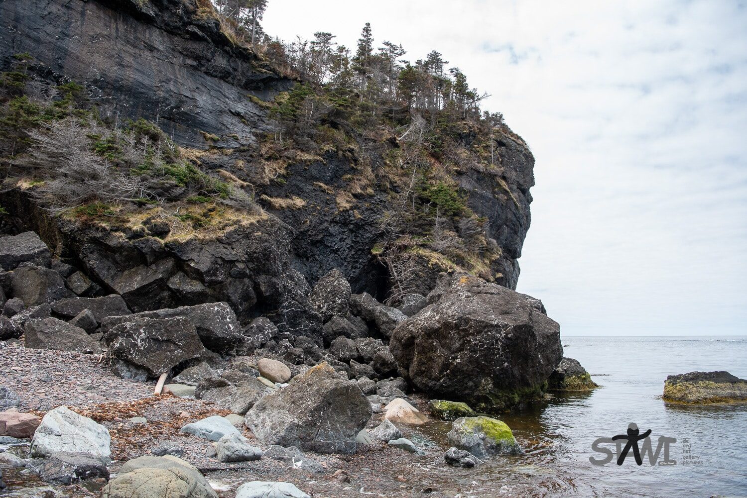 DSC_1611