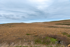 DSC_1521