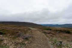 DSC_1523