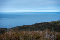 DSC_1531