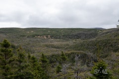 DSC_1542