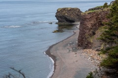 DSC_1559