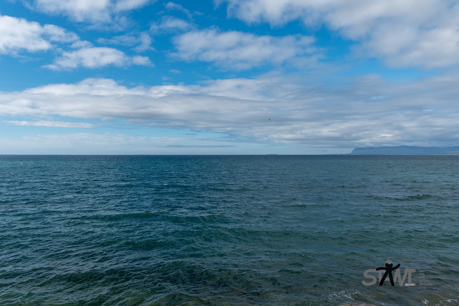 DSC_1767