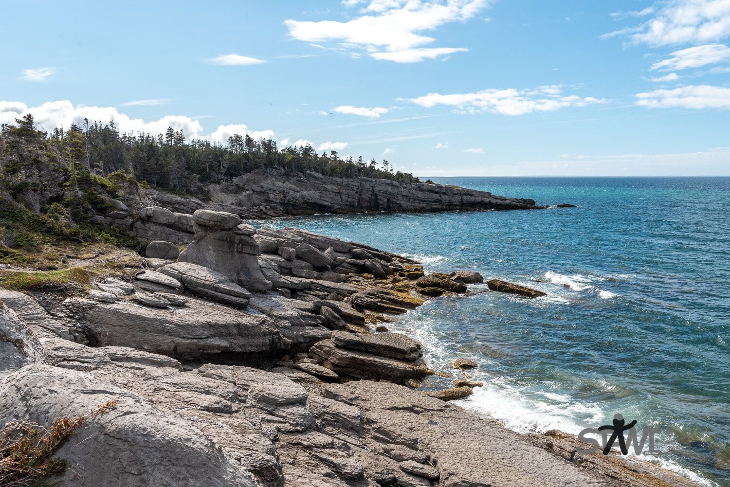 DSC_1768