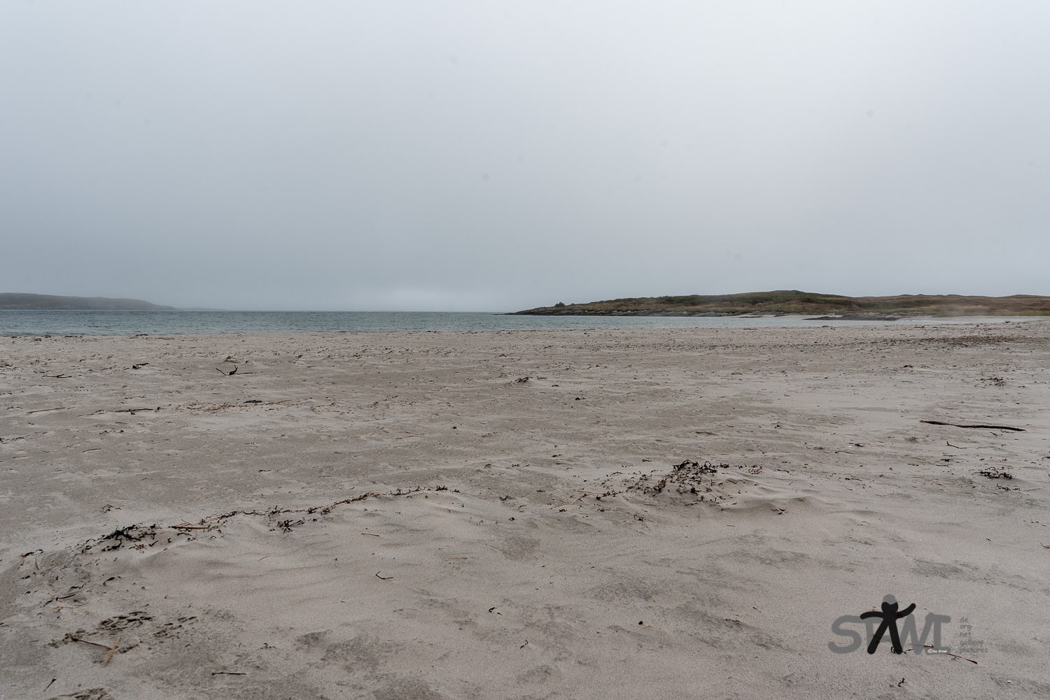 DSC_1784