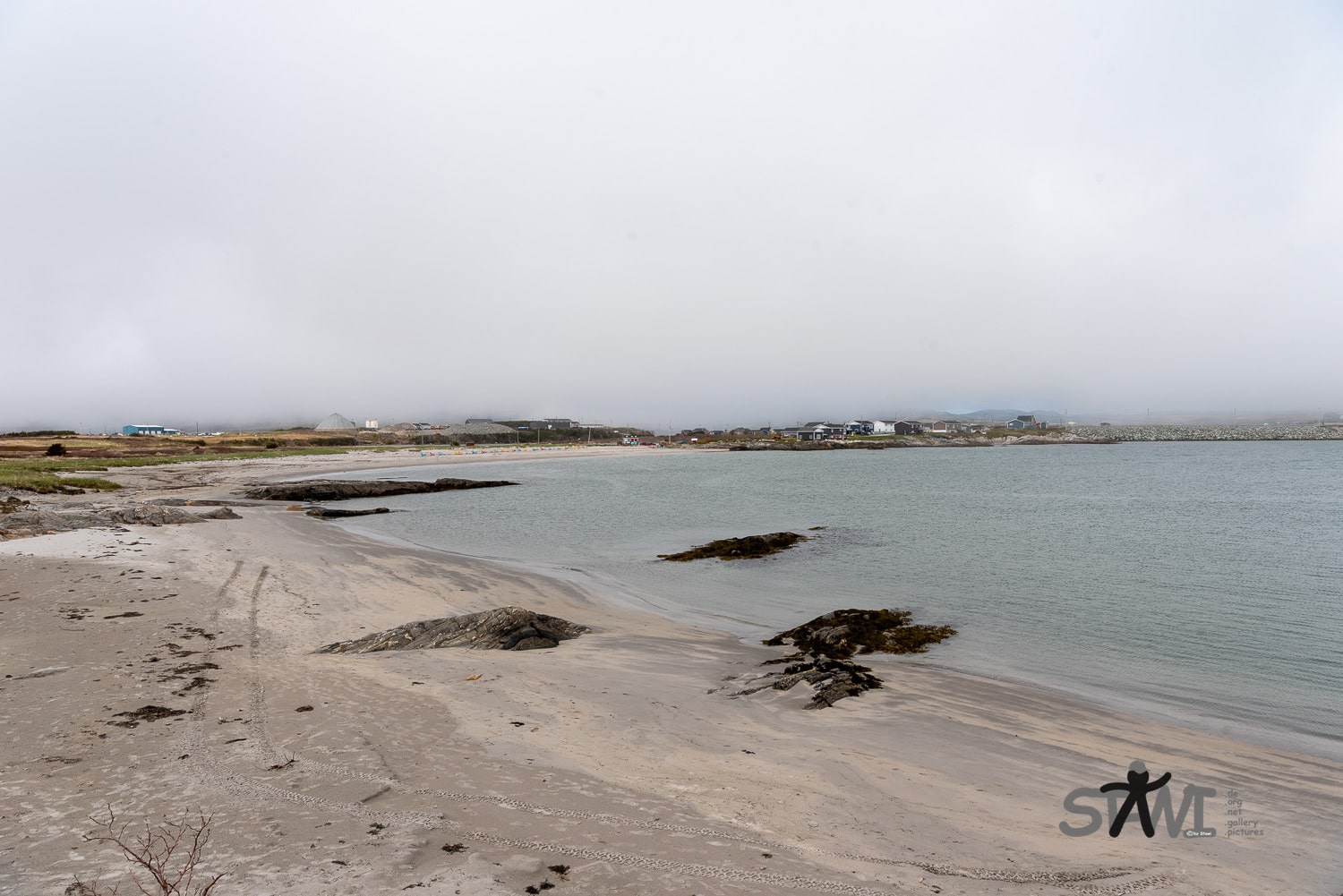 DSC_1785