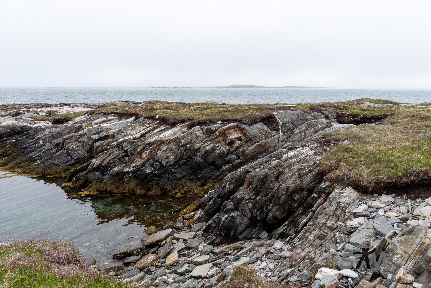 DSC_1788